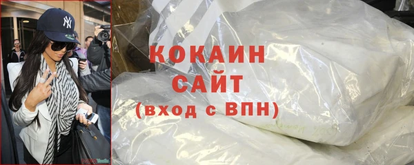 гашик Белокуриха