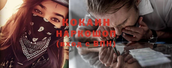 гашик Белокуриха